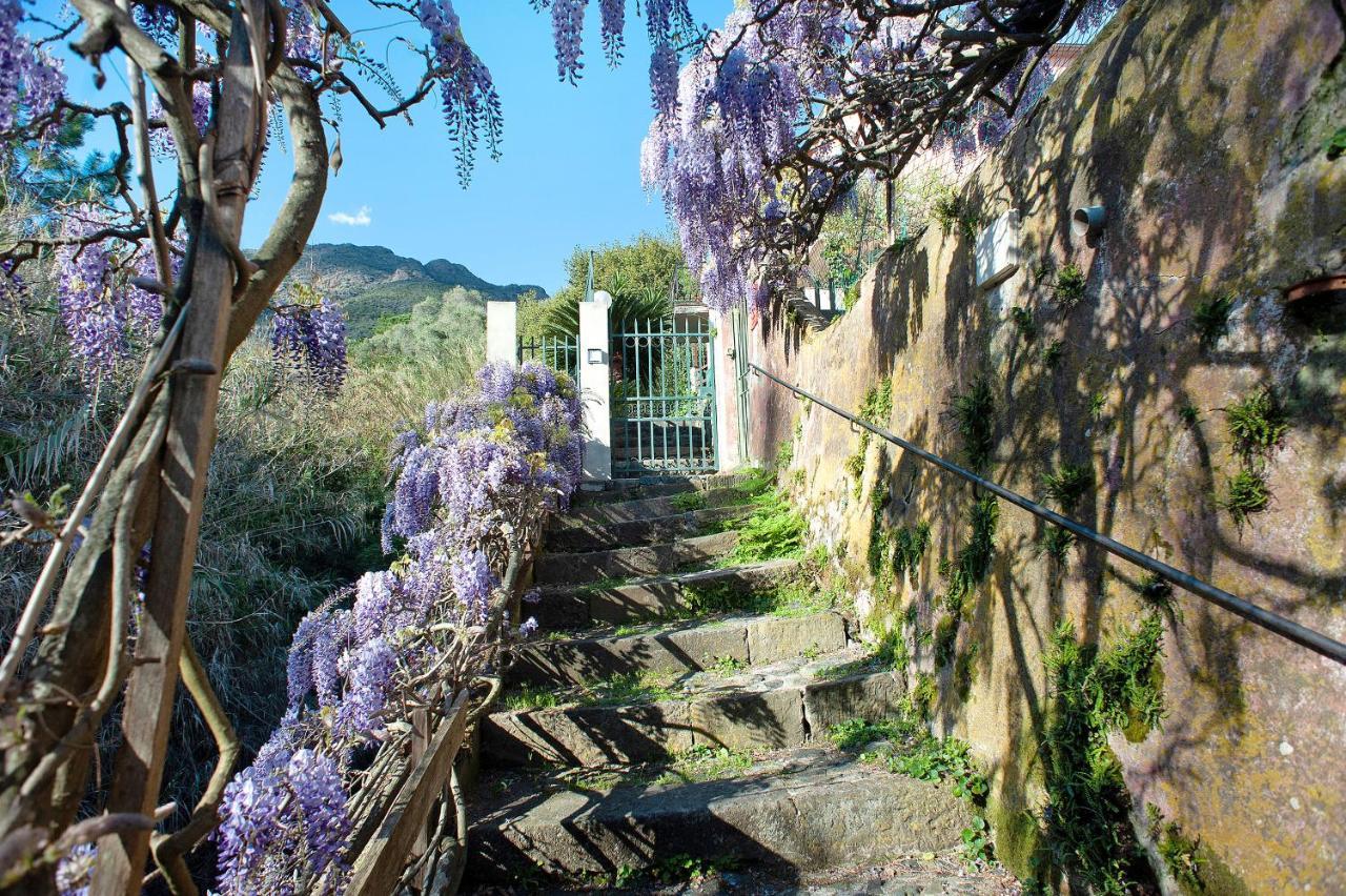 Casa Zagare Sul Mare Apartment Levanto